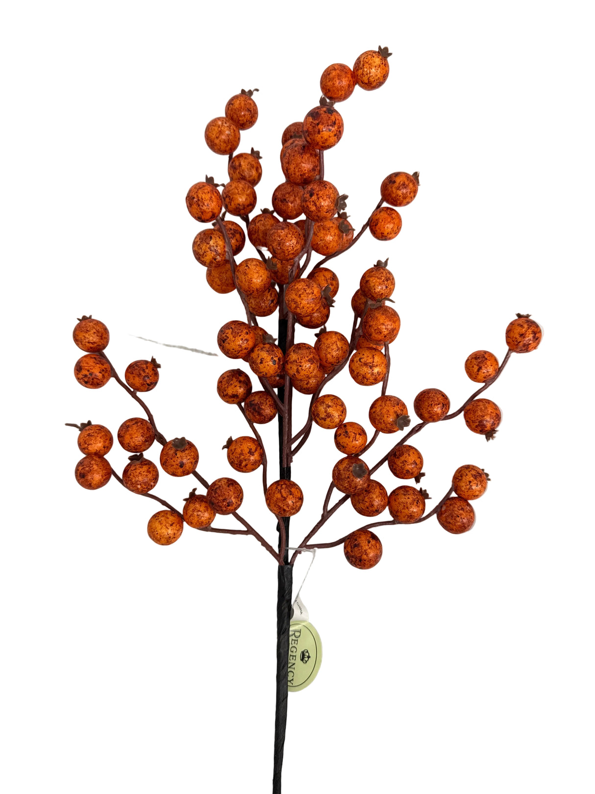 22" Harvest Berry Spray (Spice)
