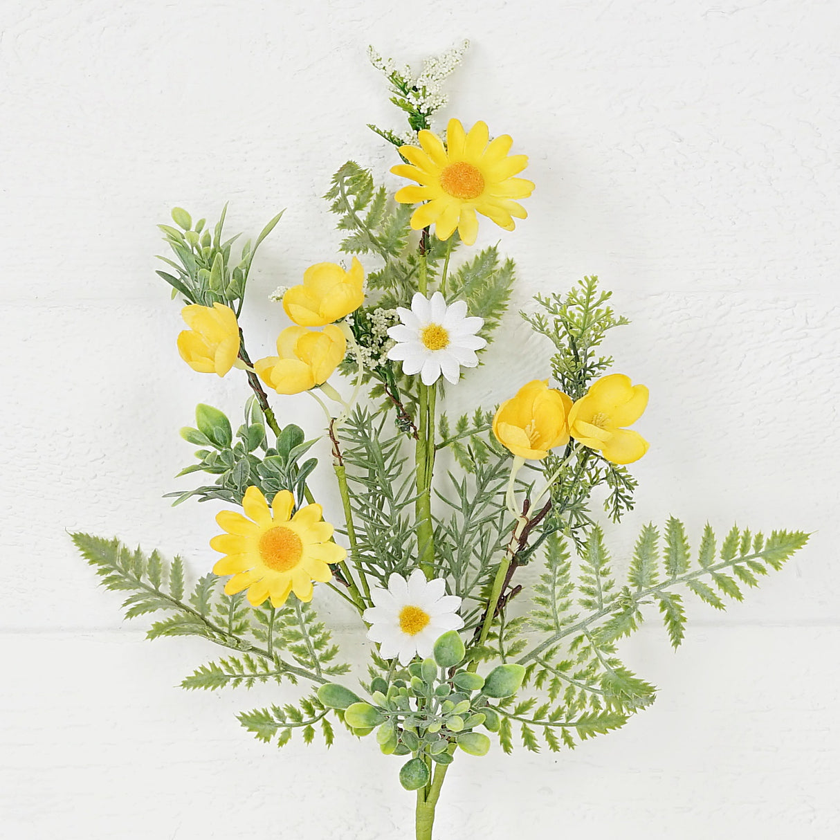 Yellow & White Daisy Fern Bush