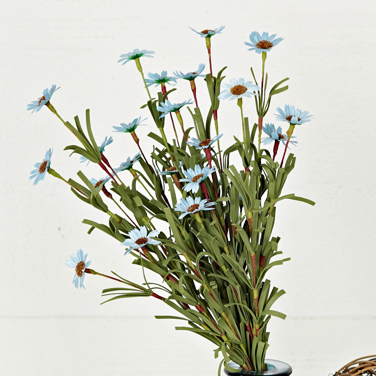 Blue Mini Mountain Daisy Bush (18")