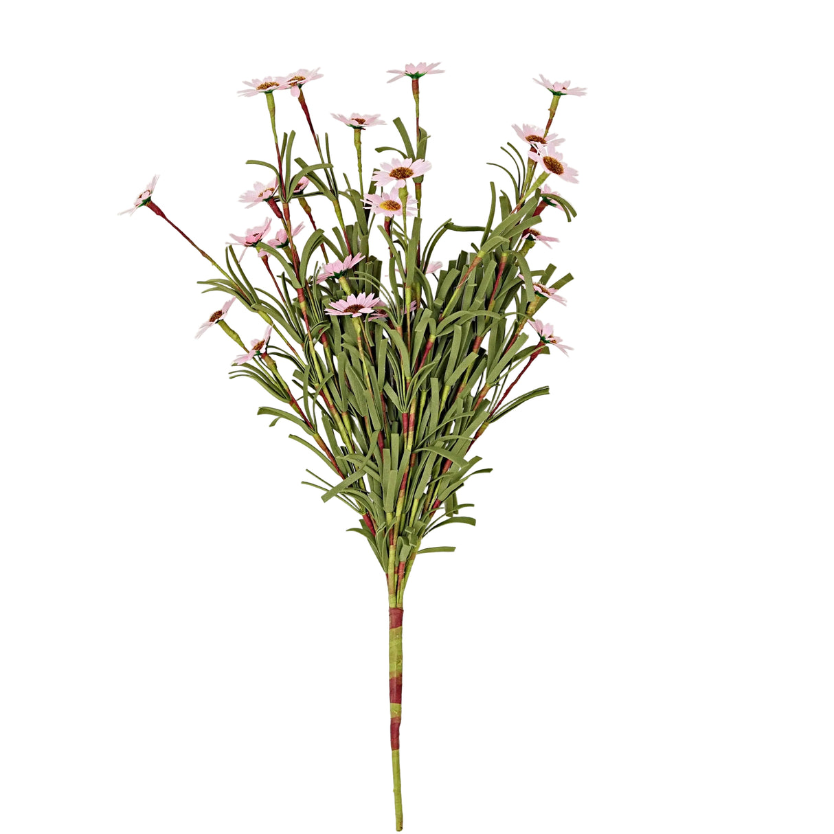 Pink Mini Mountain Daisy Bush (18")