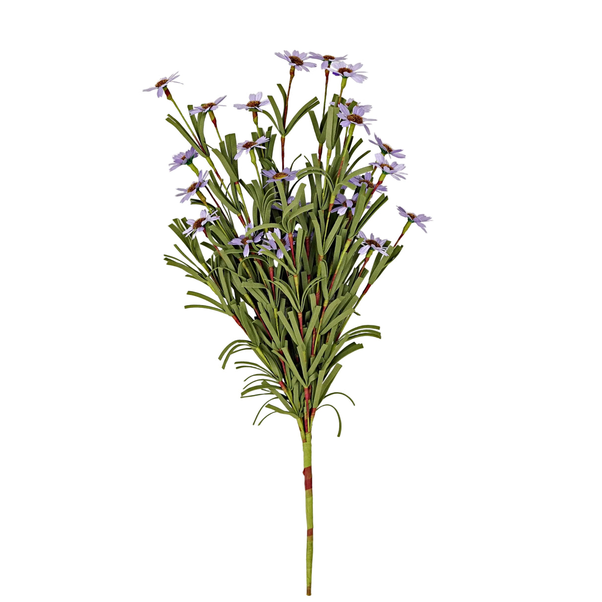 Purple Mini Mountain Daisy Bush (18")