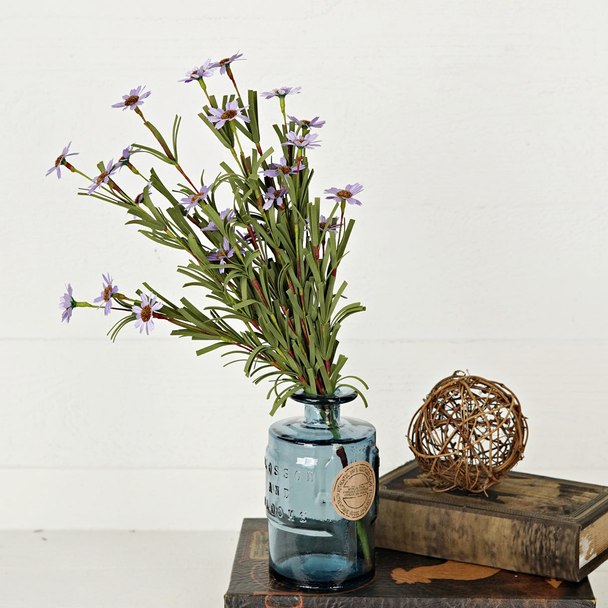 Purple Mini Mountain Daisy Bush (18")