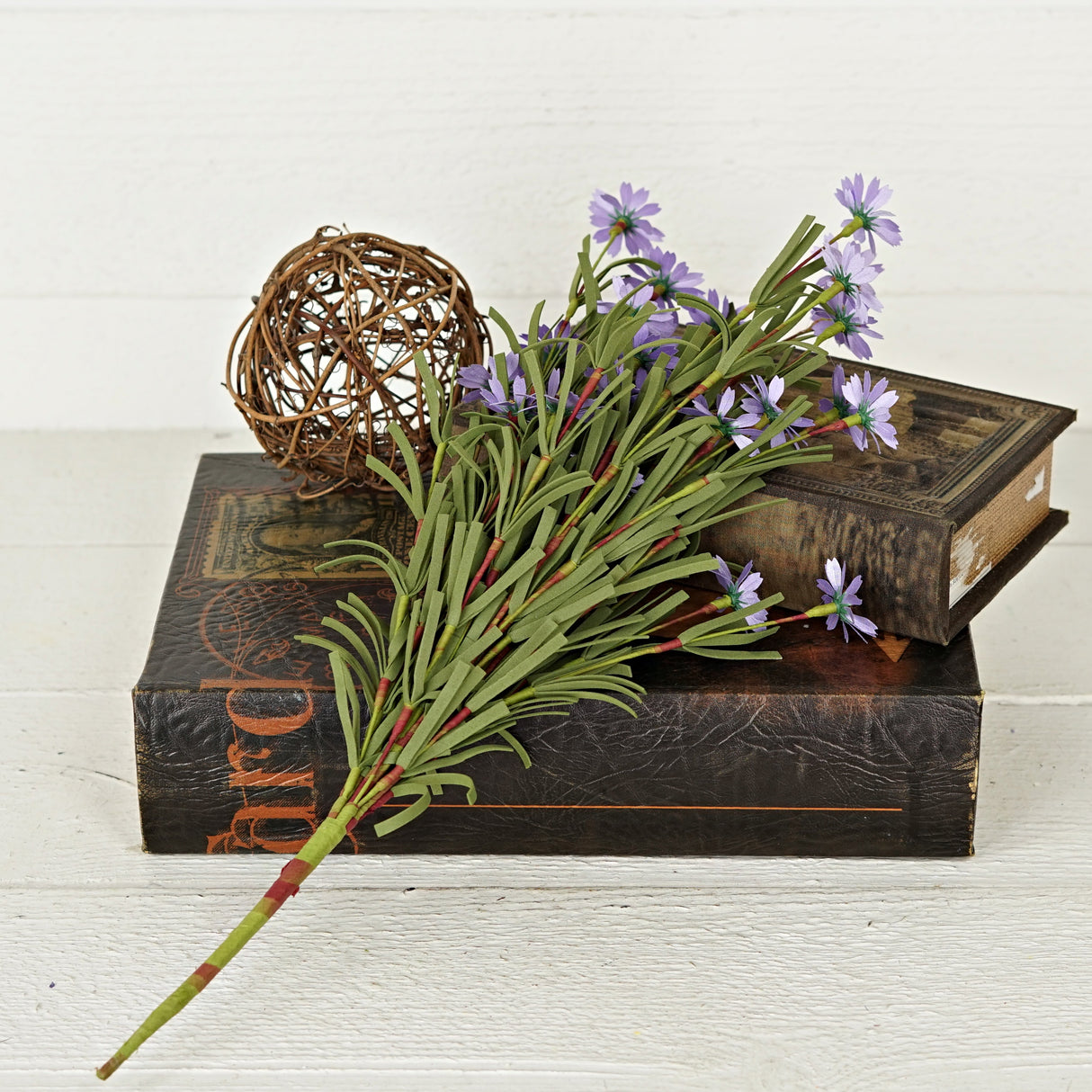 Purple Mini Mountain Daisy Bush (18")