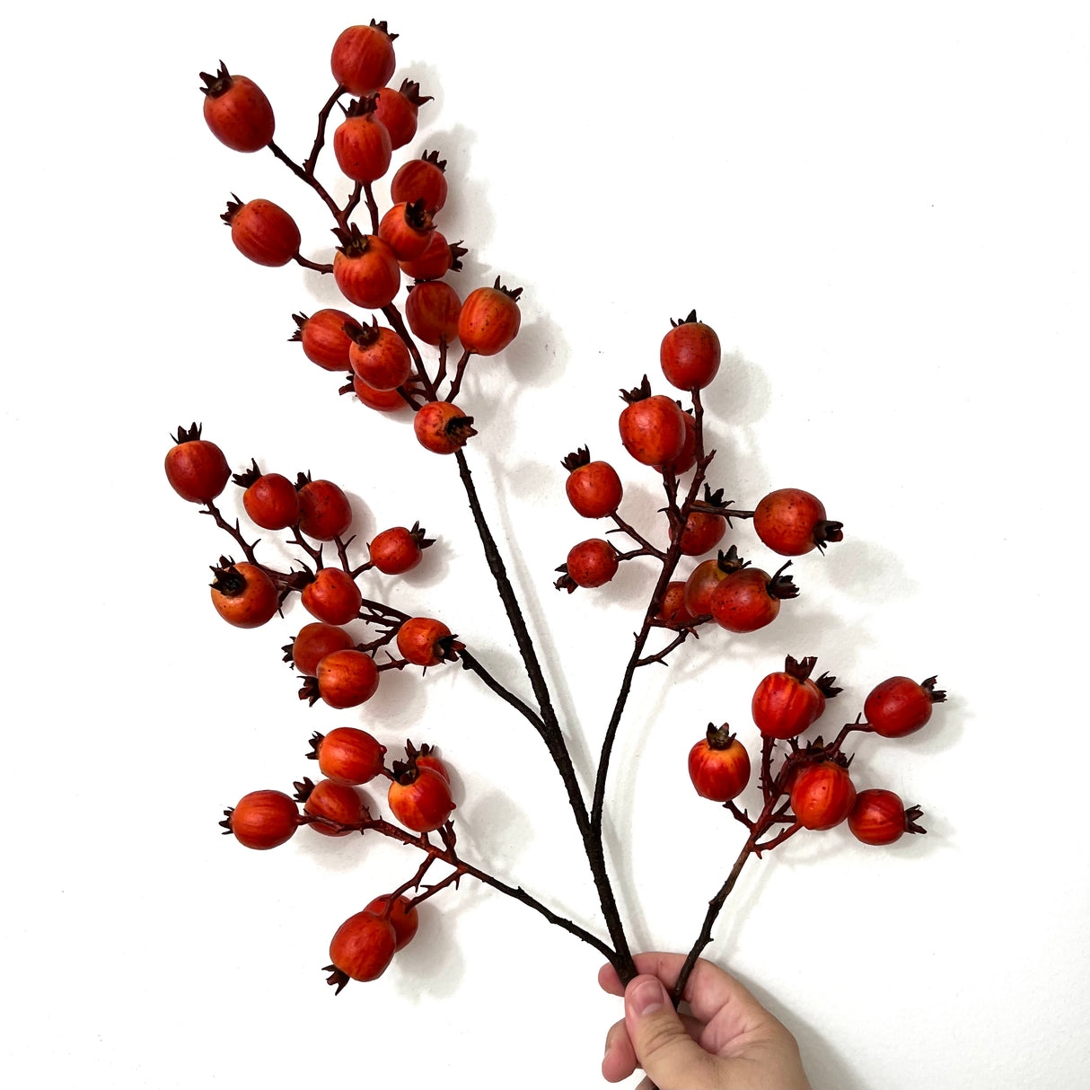 31"L WILD ROSE HIP SPRAY