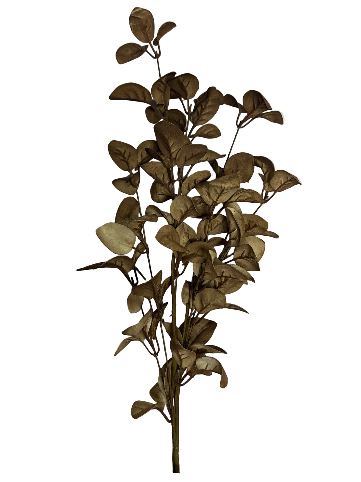29"L Eva Rose Leaf Spray