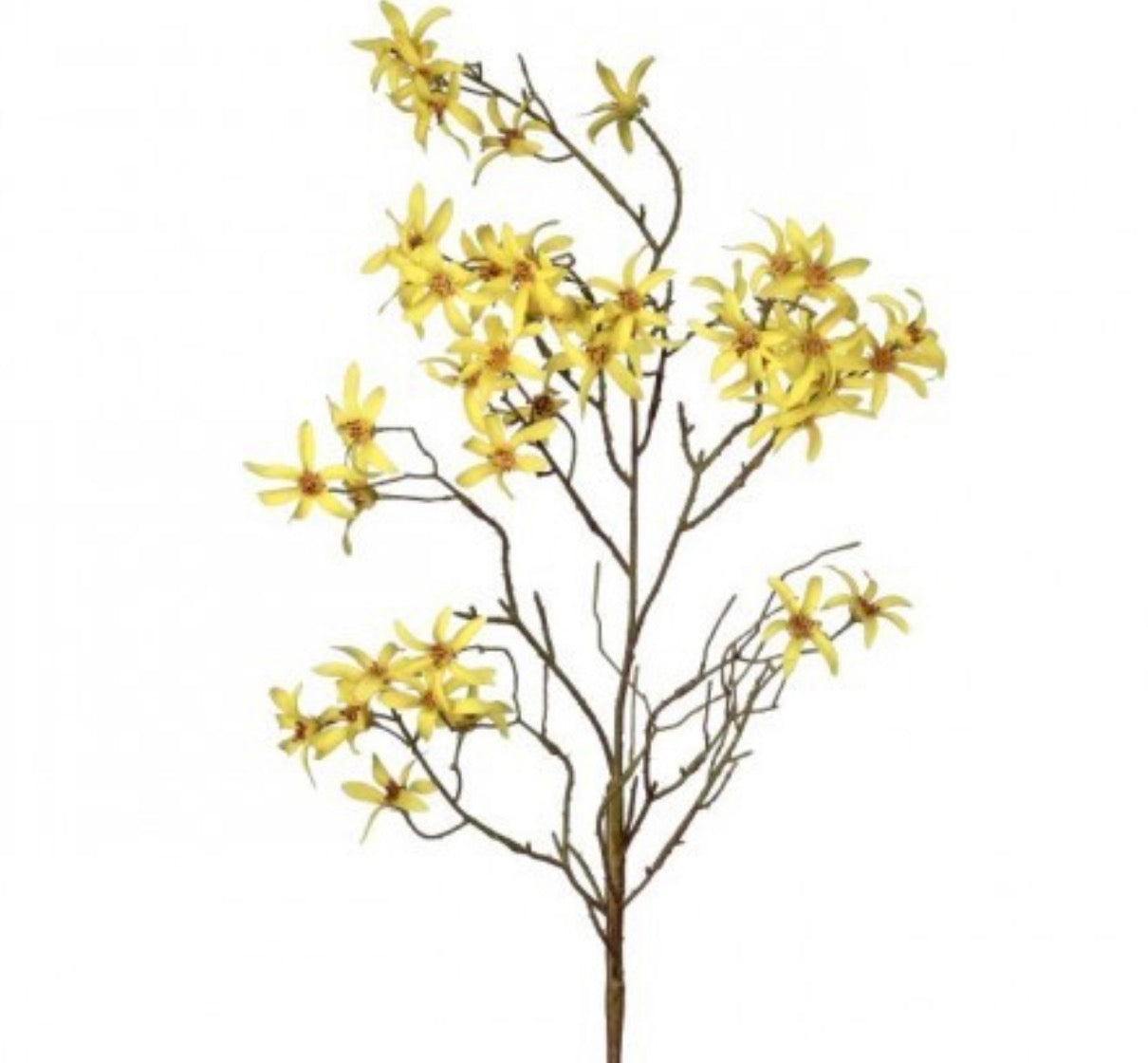 41" Wild Forsythia Spray