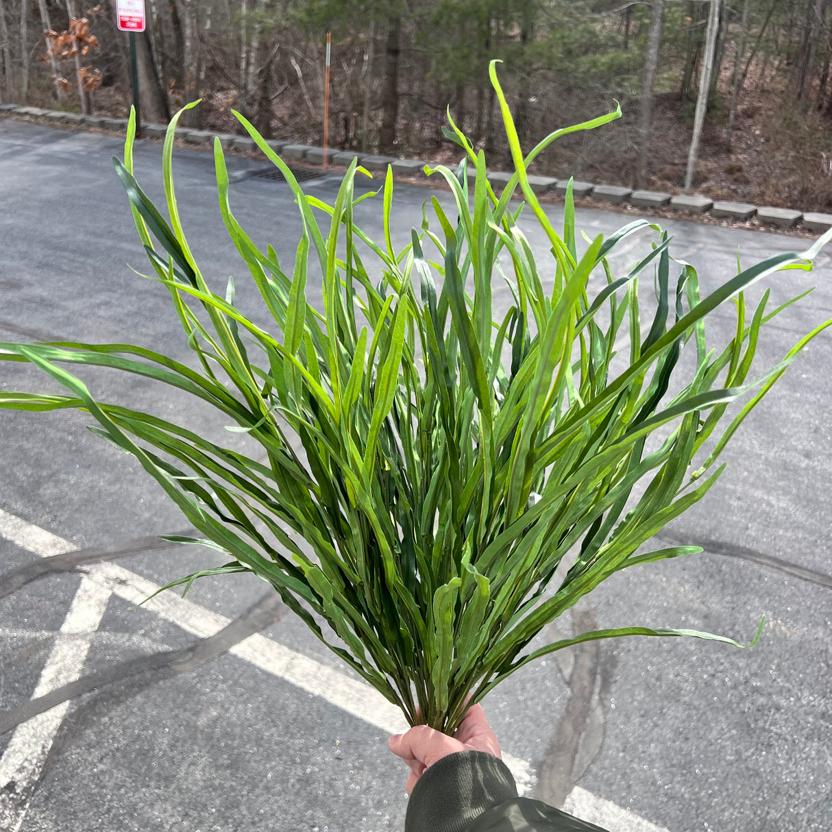 23.5” Willow Grass Bush (15 stems)