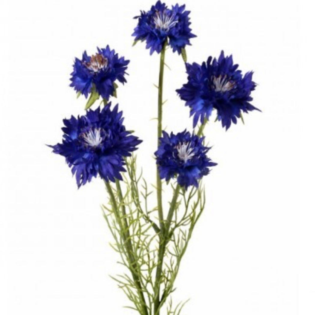 22" Cornflower Stem X5