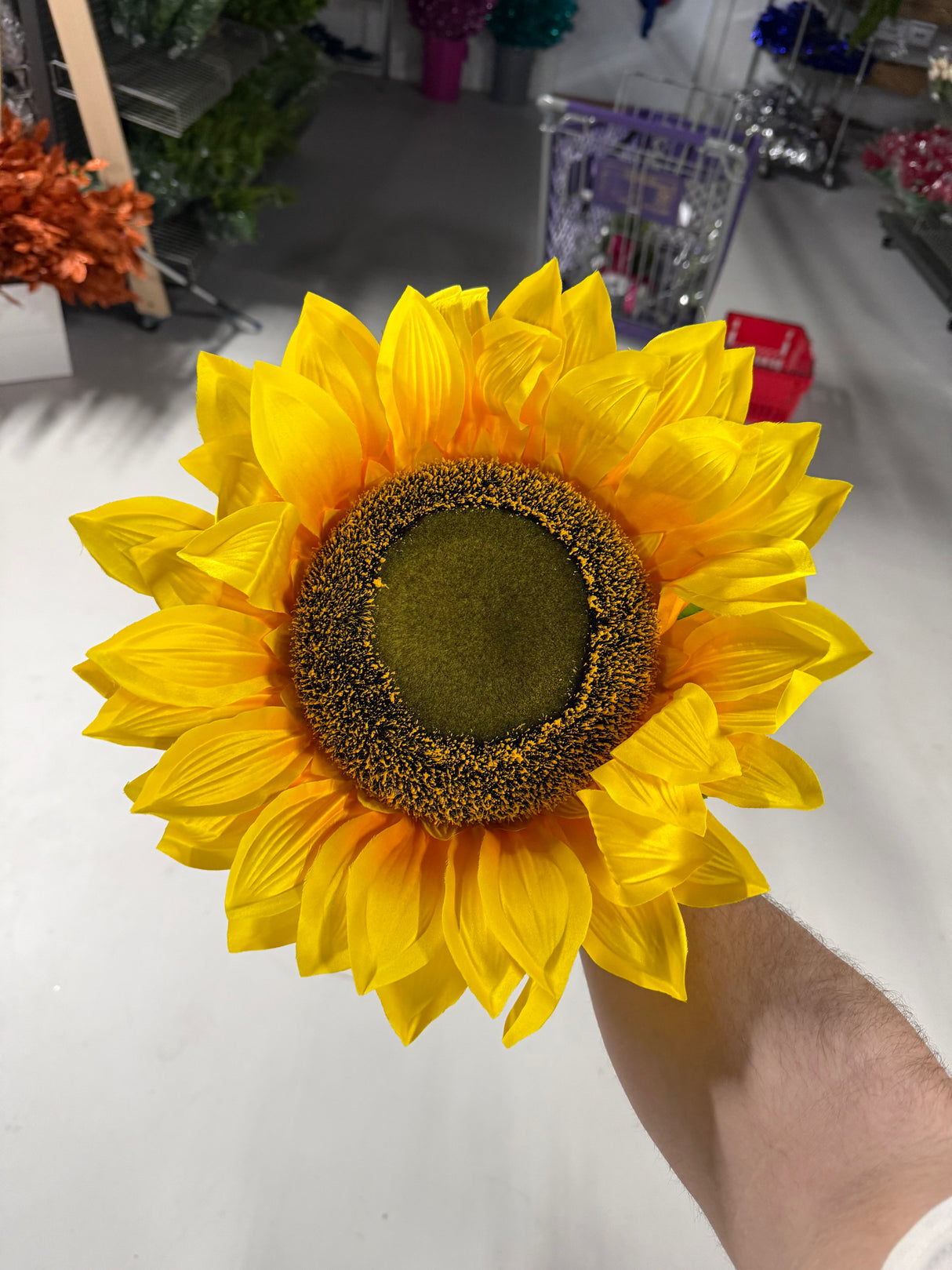 15"Dia Sunflower Head