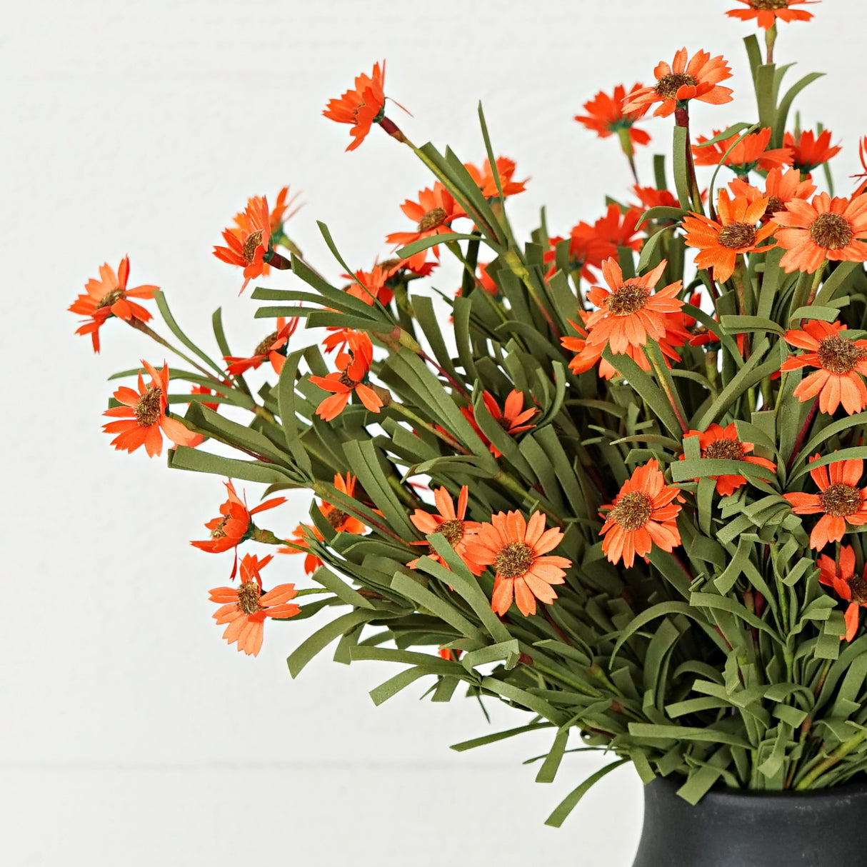 Orange Mini Mountain Daisy Bush (18")