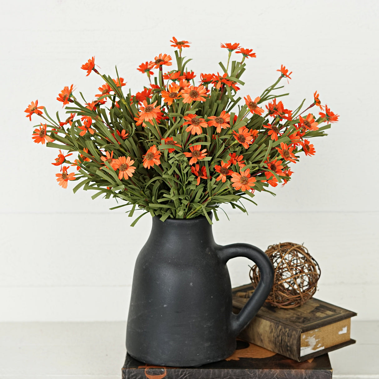 Orange Mini Mountain Daisy Bush (18")