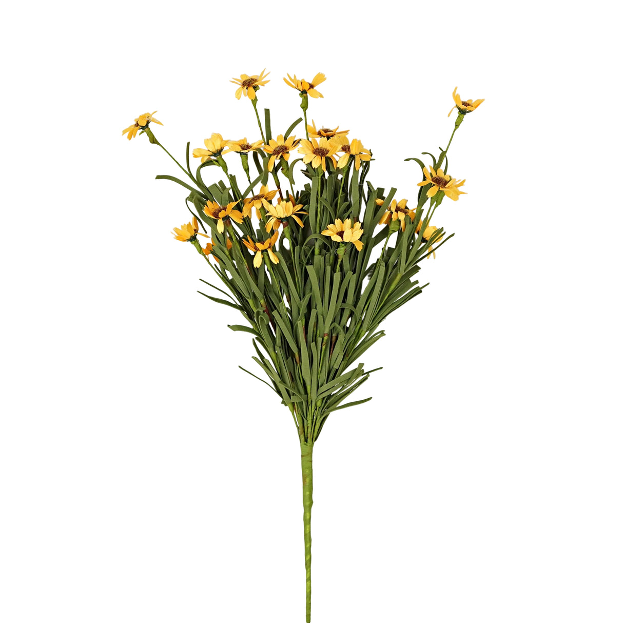 Yellow Mini Mountain Daisy Bush (18")