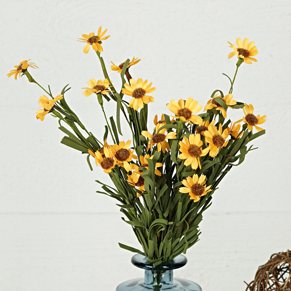 Yellow Mini Mountain Daisy Bush (18")