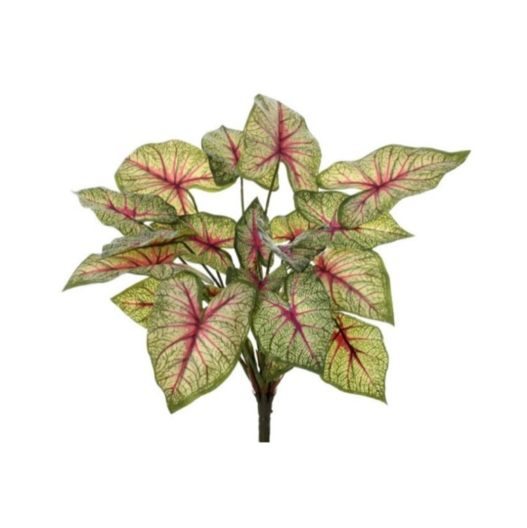 13" Natural Touch Caladium Plant X23