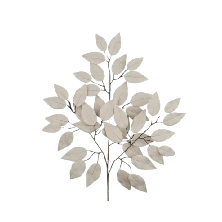 23"L Ficus Spray Grey