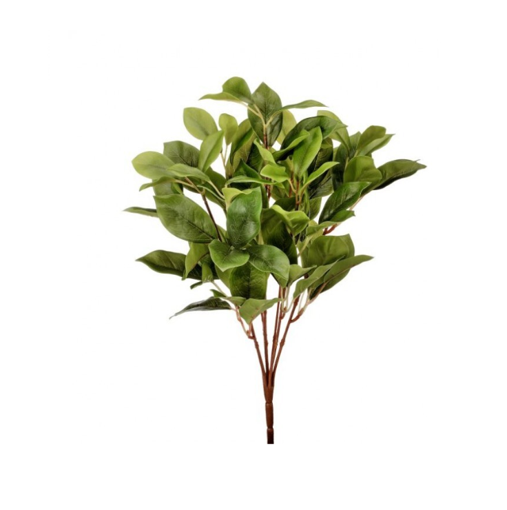 16" Pl. Real Tch Laurel Leaf Bush x7