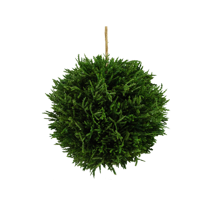 5.5"Dia Cedar Ball W/Jute Hanger
