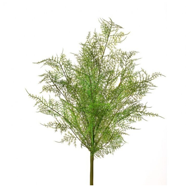 20" Pl. Natural Touch Asparagus Fern Bush