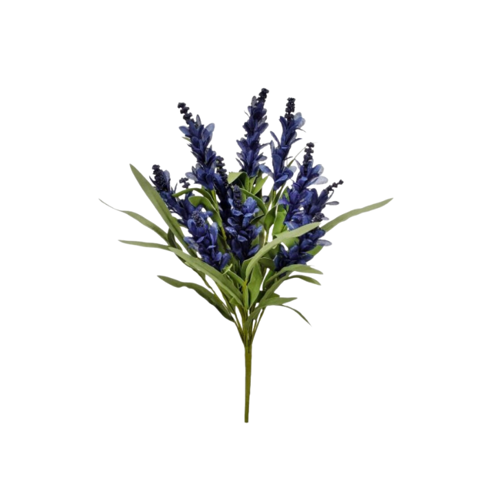 20" Budding Firecracker Salvia Bush (Blue)