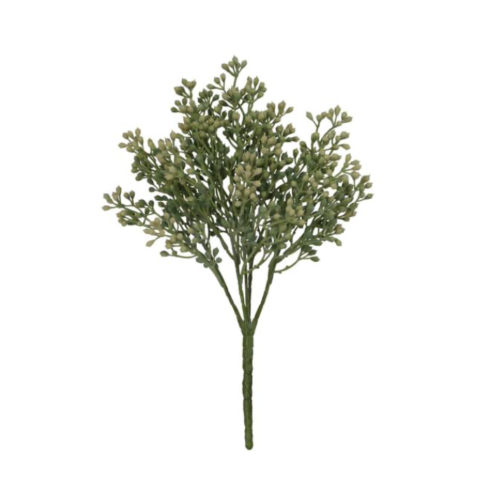 12"L Seed Bush