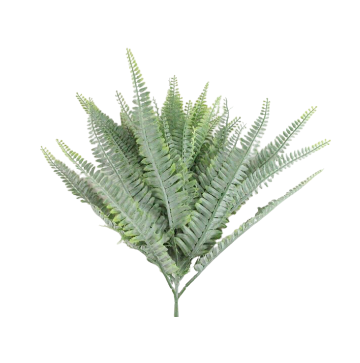 17.5"L Fern Bush