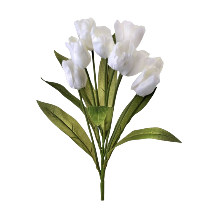 20" Tulip Bush X 9