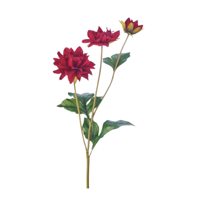 23" Just Cut Triple Dalhia