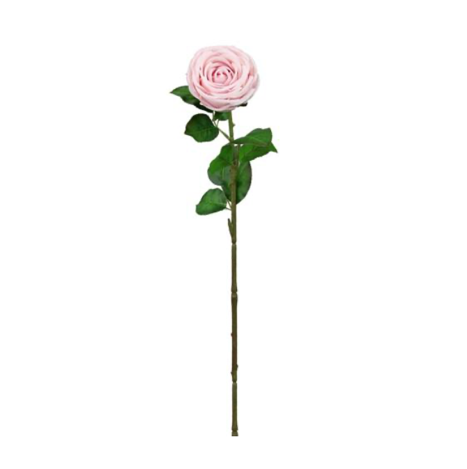 28"L Real Touch Cabbage Rose Stem