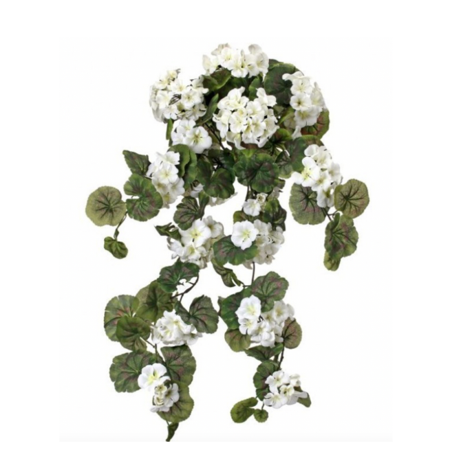 32" Hanging Geranium X15