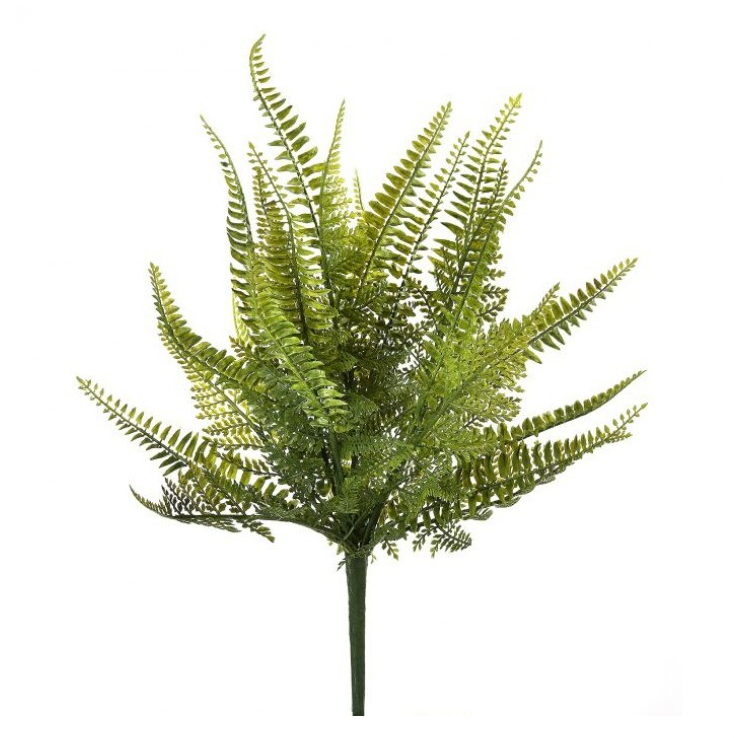18" Pl. Ladder Fern Bush