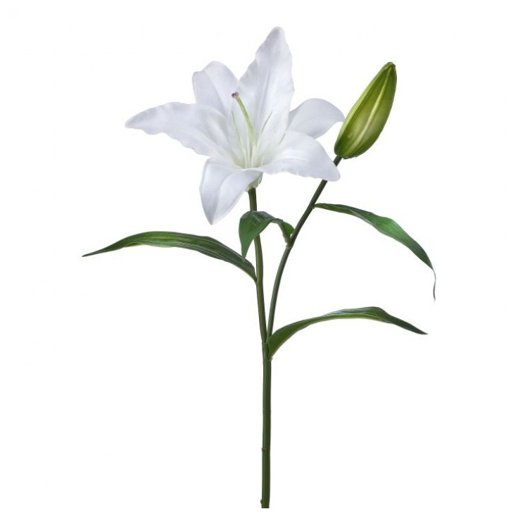 27" Just Cut Casablanca Lily & Bud