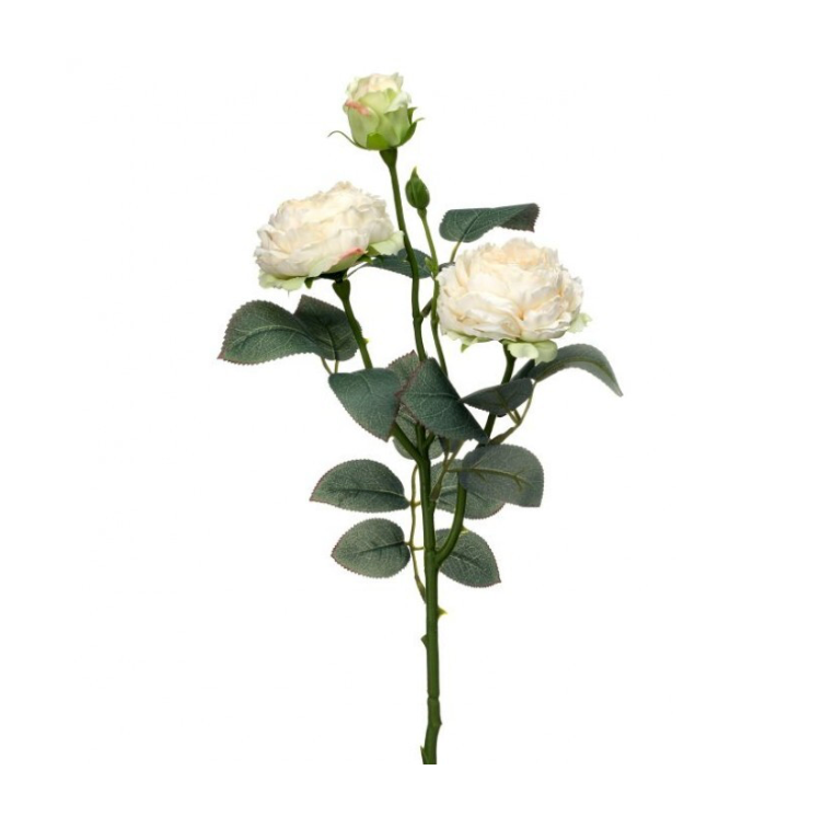 21" Vintage "Freeze Dry" Garden Rose X3 (Cream)