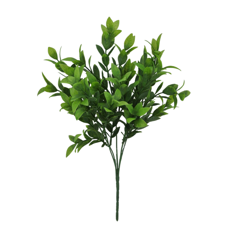 14" Baby Ruscus Bush X 5