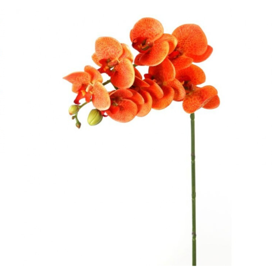 28" Greenhouse Phalaenopsis Spray (Orange)