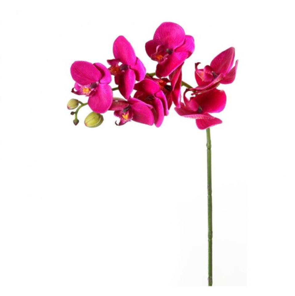 28" Greenhouse Phalaenopsis Spray (Purple)