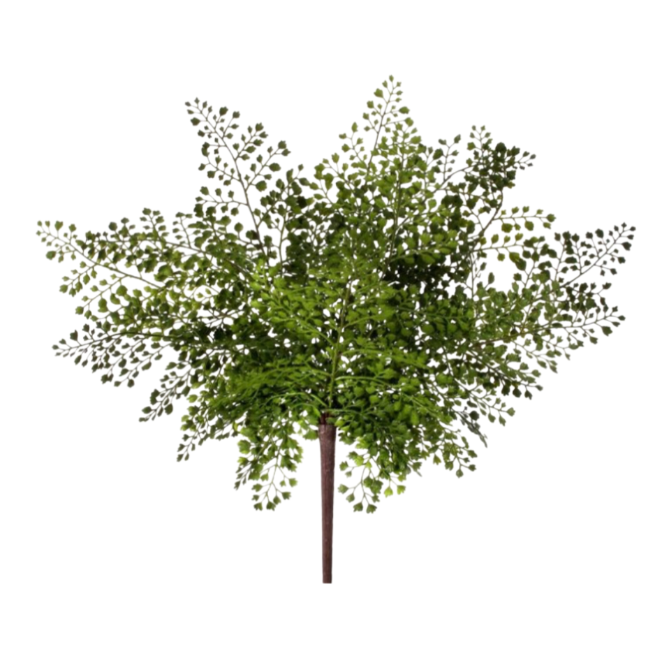 17" Pl Uv Nat Touch Maidenhair Fern