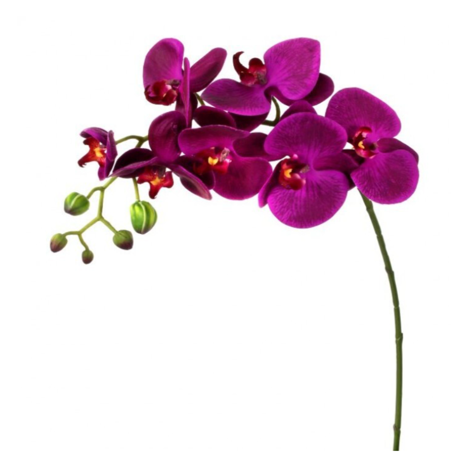 27" Natural Touch Phalaenopsis (Violet)
