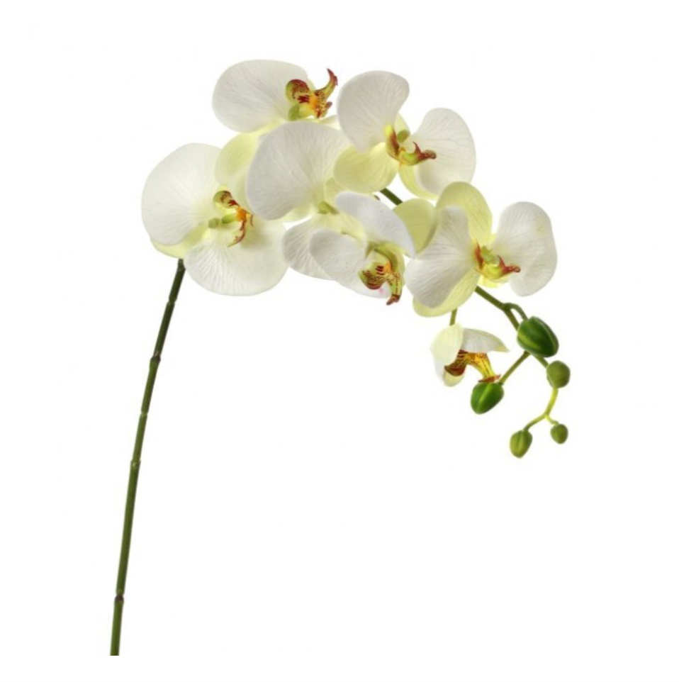 27" Natural Touch Phalaenopsis (White/Green)