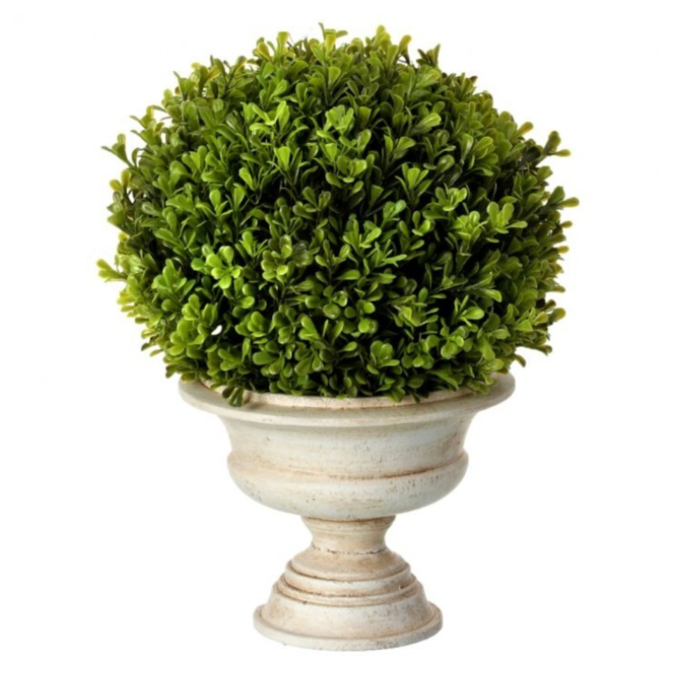 16" Spring Boxwood Ball In Urn