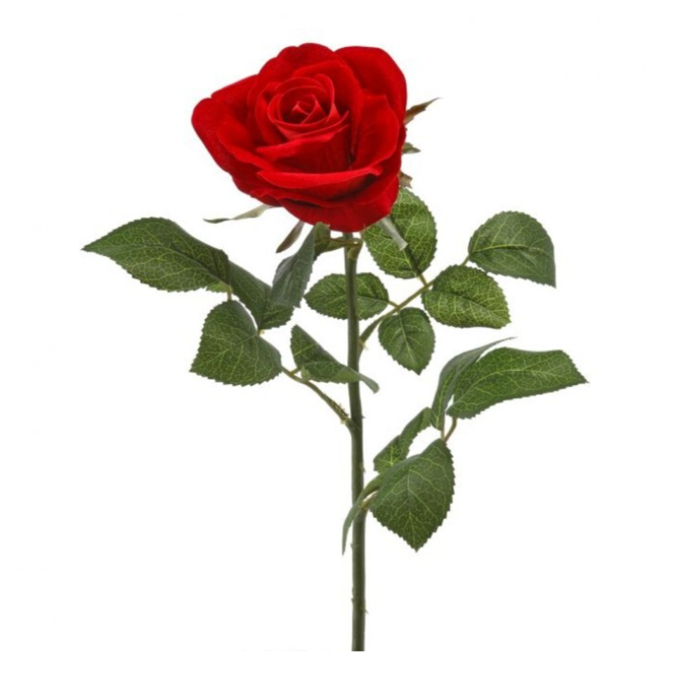 25" Velvet Rose Stem