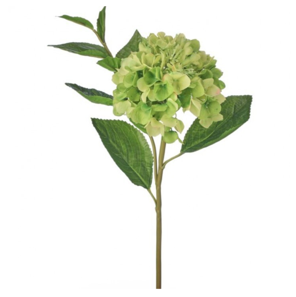 23" Just Cut New Growth Hydrangea (Green)