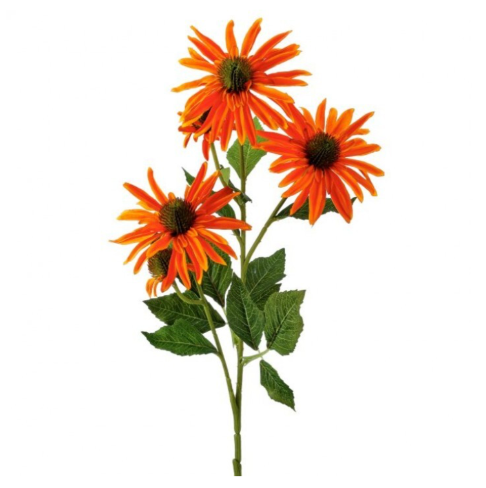 29" Echinacea X3 +2 Buds (Orange)
