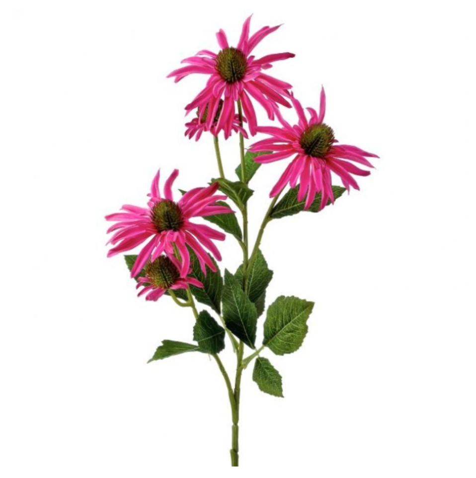 29" Echinacea X3 +2 Buds (Purple)