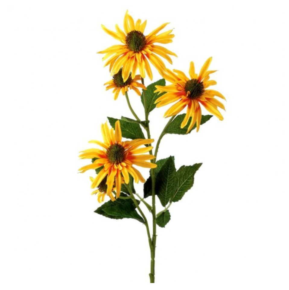 29" Echinacea X3 +2 Buds (Yellow)