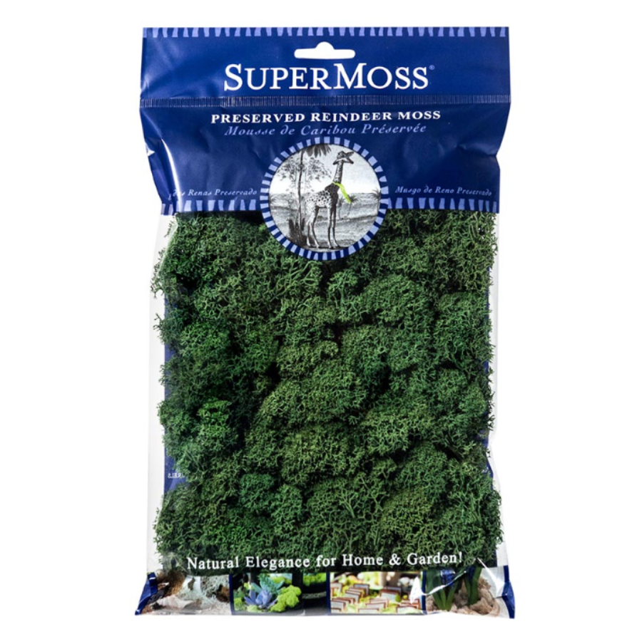 Reindeer Moss (Forest)
