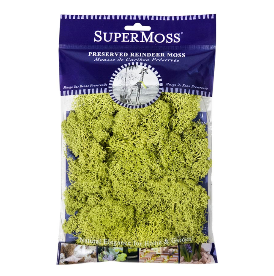Reindeer Moss (Chartreuse)