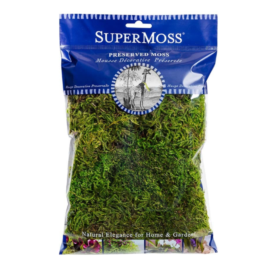 Forest Moss Preserved