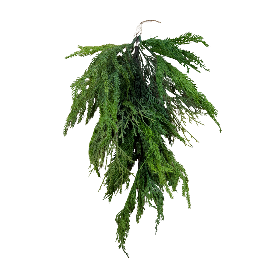 20" Cyprus/Norfolk Pine Bundle Teardrop