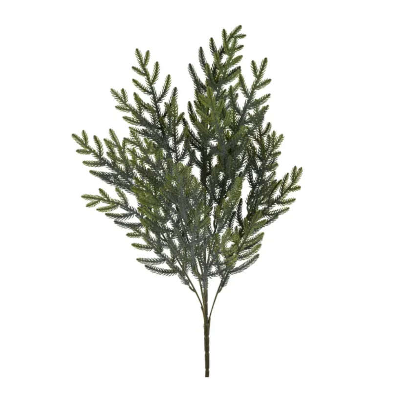 23" Norfolk Pine Spray