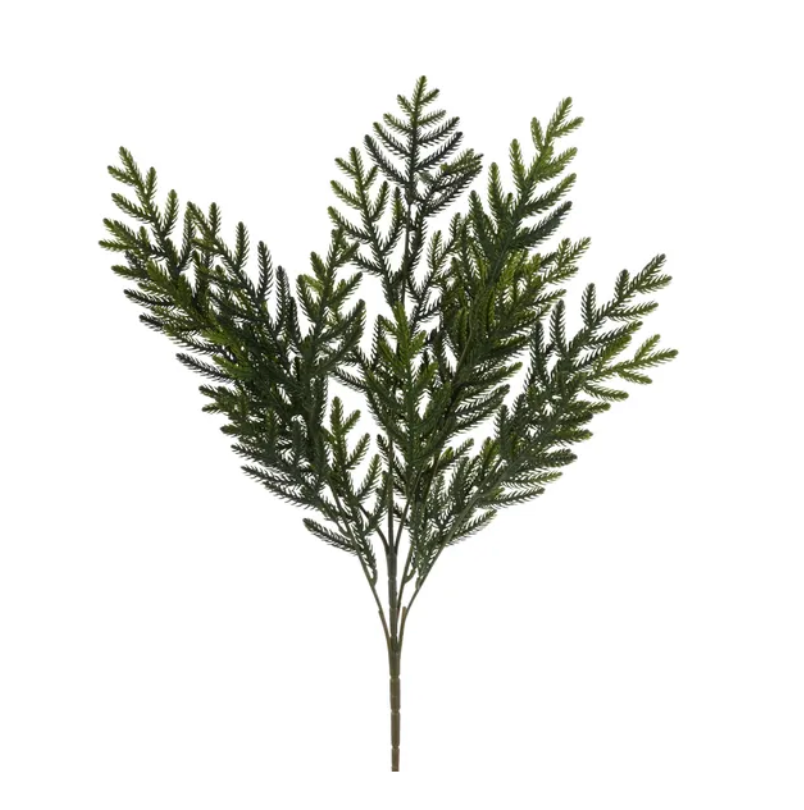 23" Norfolk Pine Spray